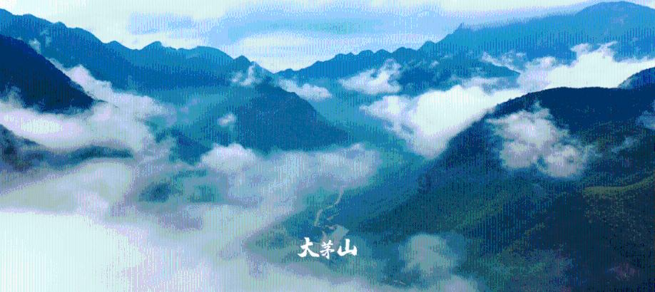 萝卜丸子怎么做才好吃?知识星球平台,深度解读,共享知识